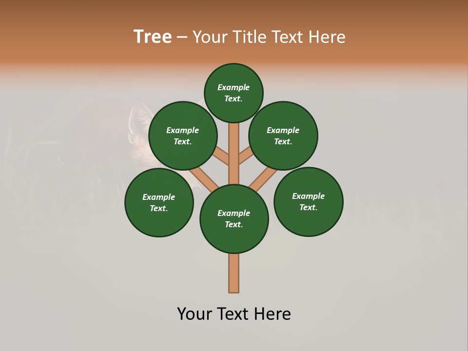 A Baby Fox In The Grass Powerpoint Template PowerPoint Template