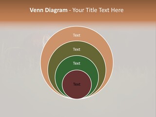 A Baby Fox In The Grass Powerpoint Template PowerPoint Template