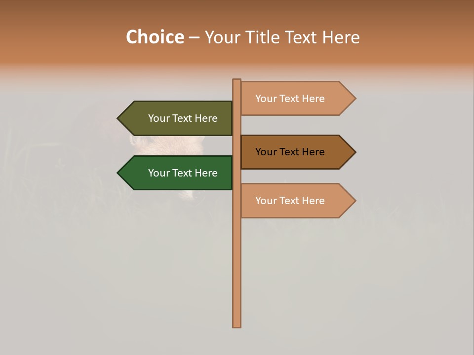 A Baby Fox In The Grass Powerpoint Template PowerPoint Template