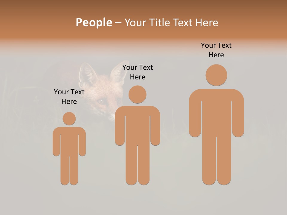 A Baby Fox In The Grass Powerpoint Template PowerPoint Template