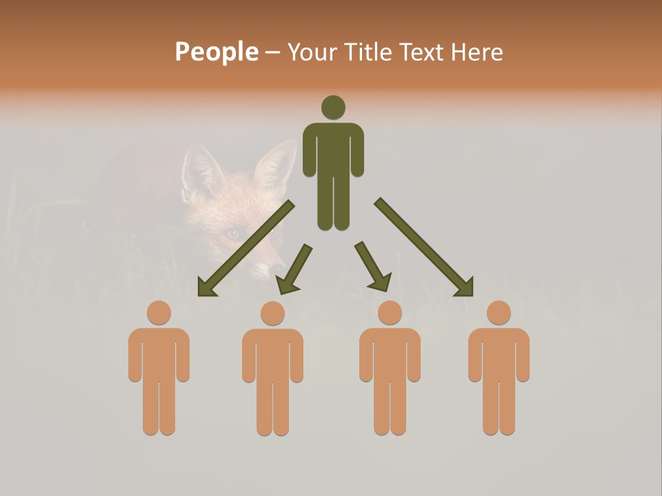 A Baby Fox In The Grass Powerpoint Template PowerPoint Template