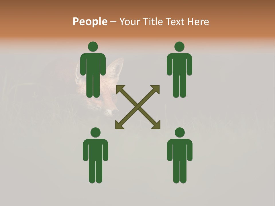 A Baby Fox In The Grass Powerpoint Template PowerPoint Template