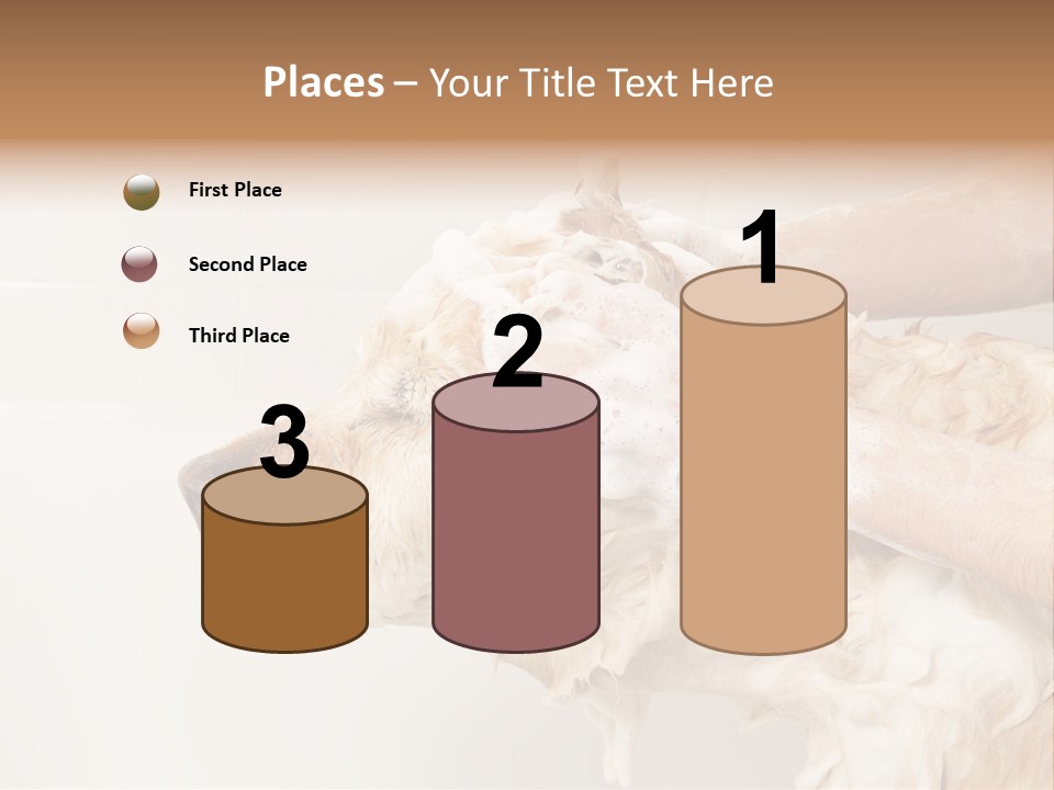 Grooming Shampoo Golden Retriever PowerPoint Template