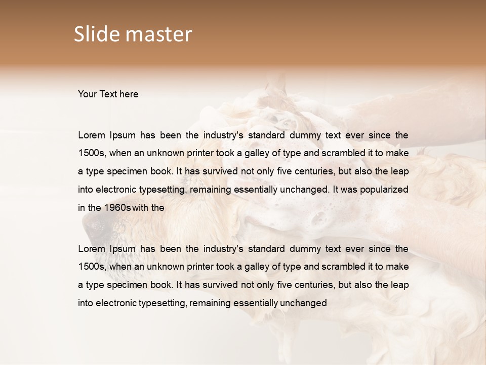 Grooming Shampoo Golden Retriever PowerPoint Template