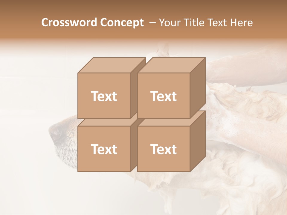 Grooming Shampoo Golden Retriever PowerPoint Template