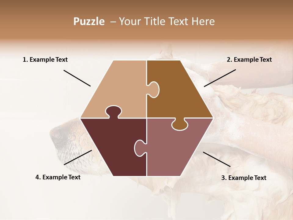 Grooming Shampoo Golden Retriever PowerPoint Template