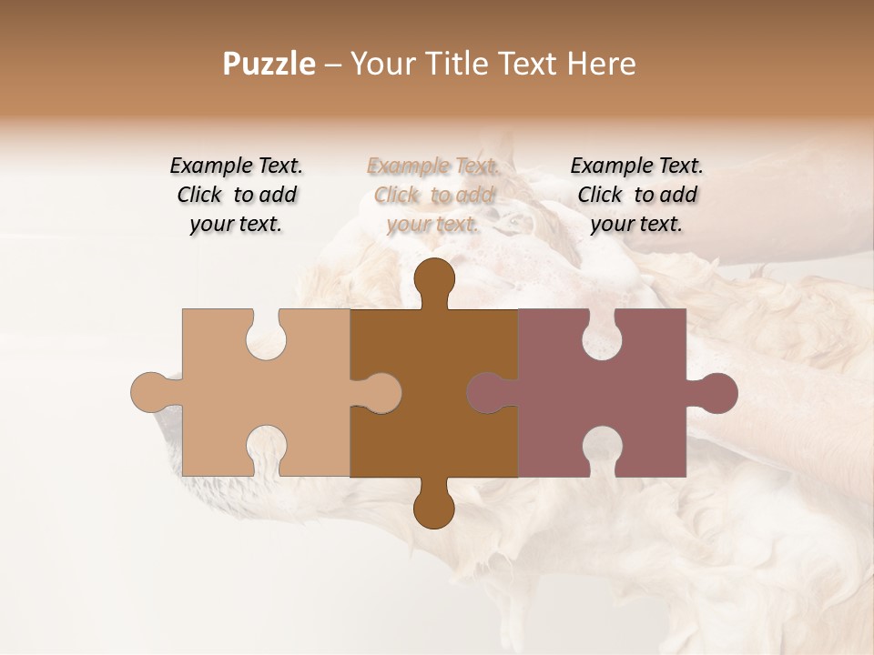 Grooming Shampoo Golden Retriever PowerPoint Template