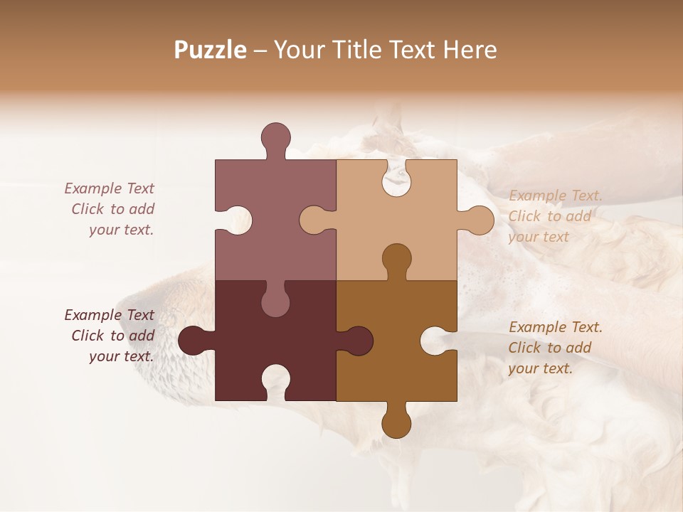 Grooming Shampoo Golden Retriever PowerPoint Template