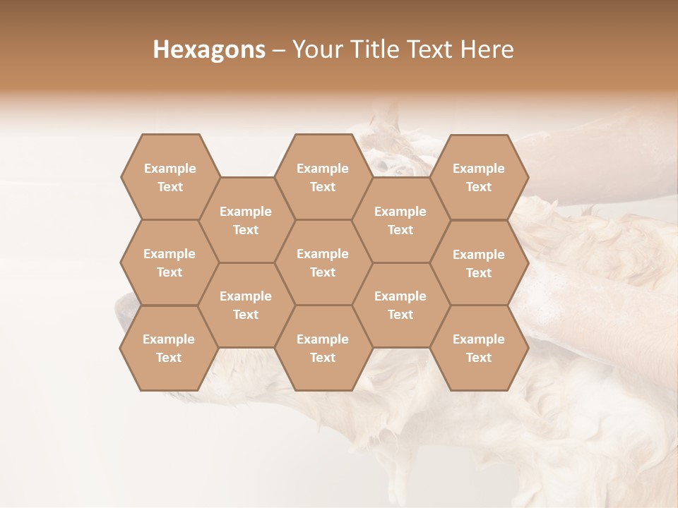 Grooming Shampoo Golden Retriever PowerPoint Template