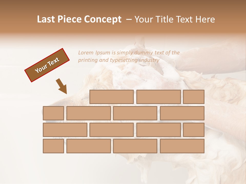 Grooming Shampoo Golden Retriever PowerPoint Template