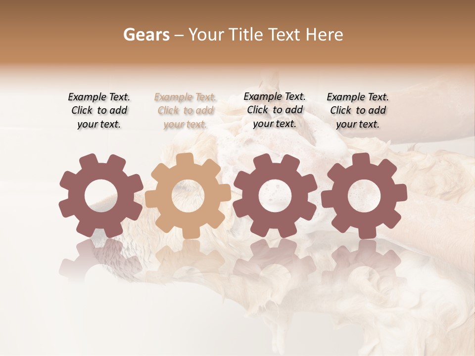 Grooming Shampoo Golden Retriever PowerPoint Template