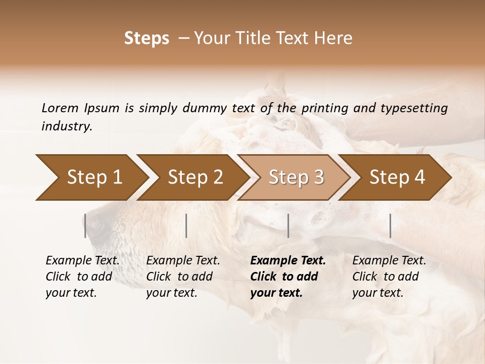 Grooming Shampoo Golden Retriever PowerPoint Template