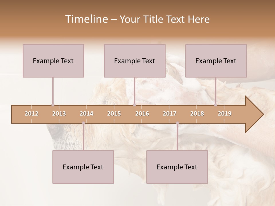 Grooming Shampoo Golden Retriever PowerPoint Template