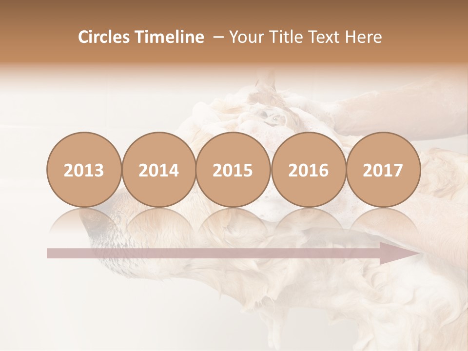 Grooming Shampoo Golden Retriever PowerPoint Template