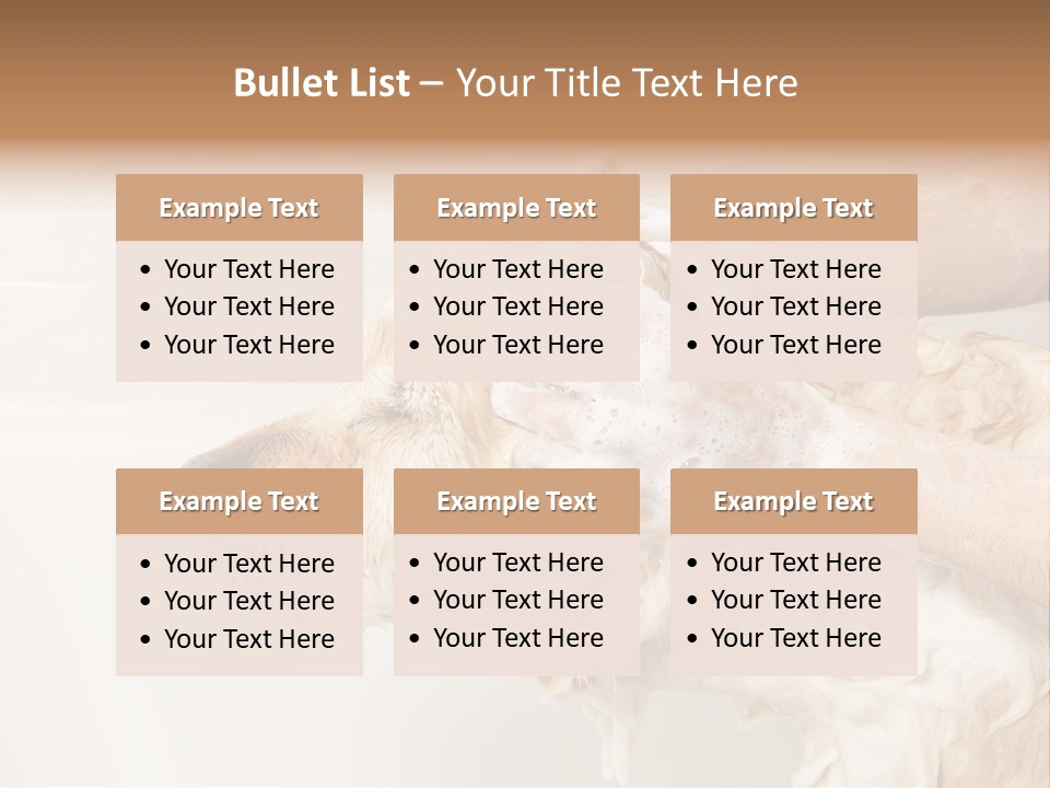 Grooming Shampoo Golden Retriever PowerPoint Template