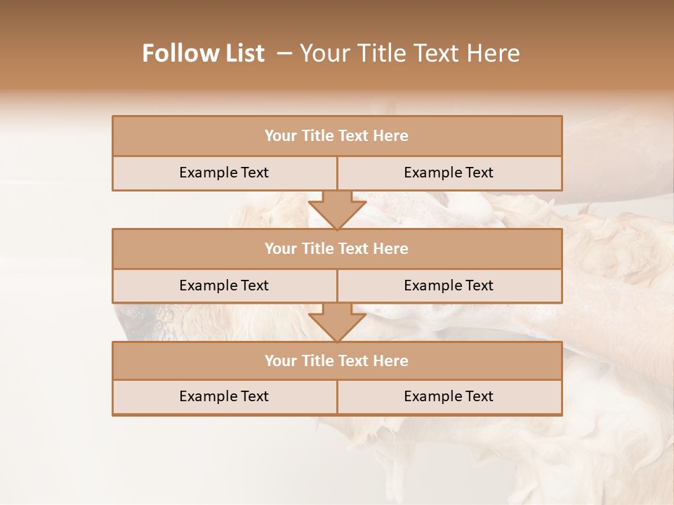 Grooming Shampoo Golden Retriever PowerPoint Template