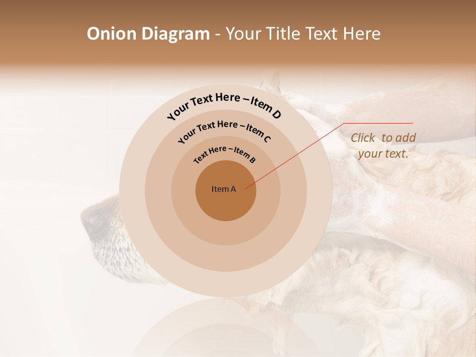 Grooming Shampoo Golden Retriever PowerPoint Template