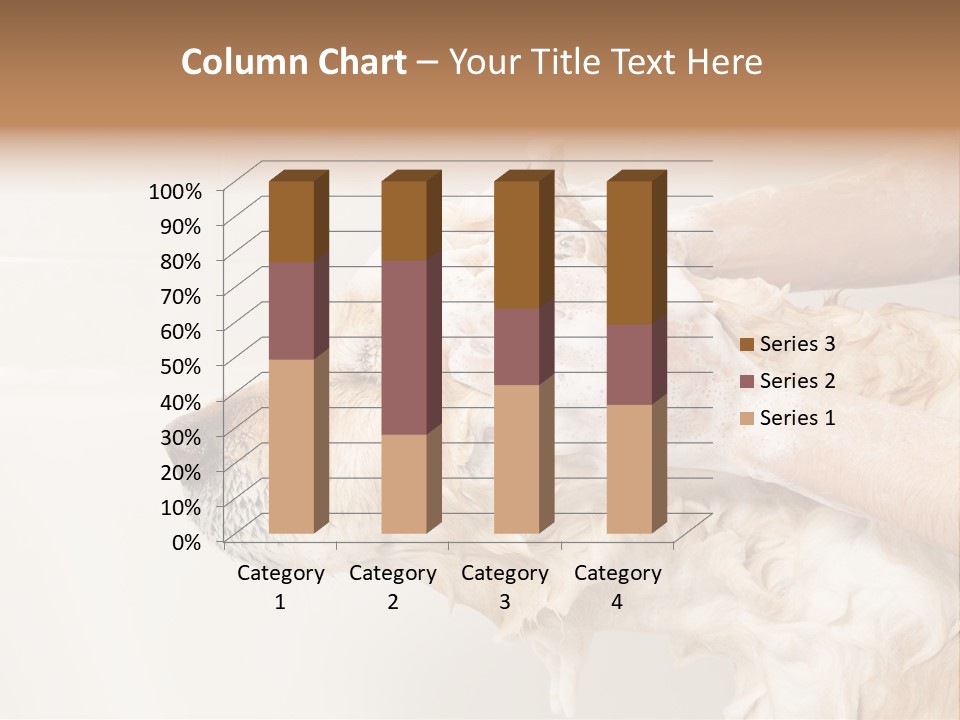 Grooming Shampoo Golden Retriever PowerPoint Template