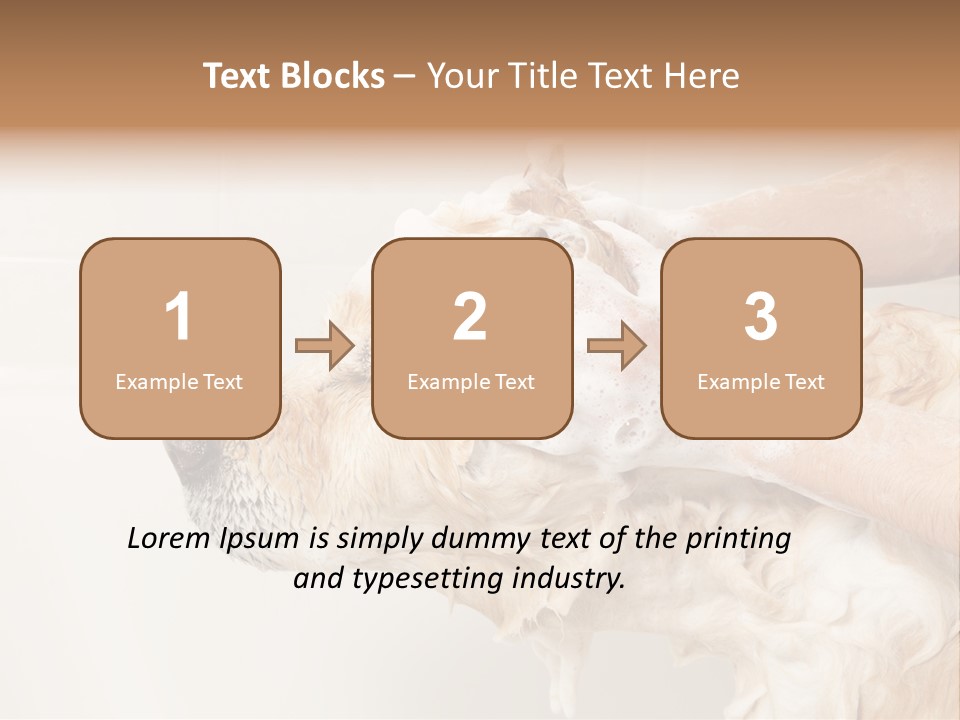 Grooming Shampoo Golden Retriever PowerPoint Template