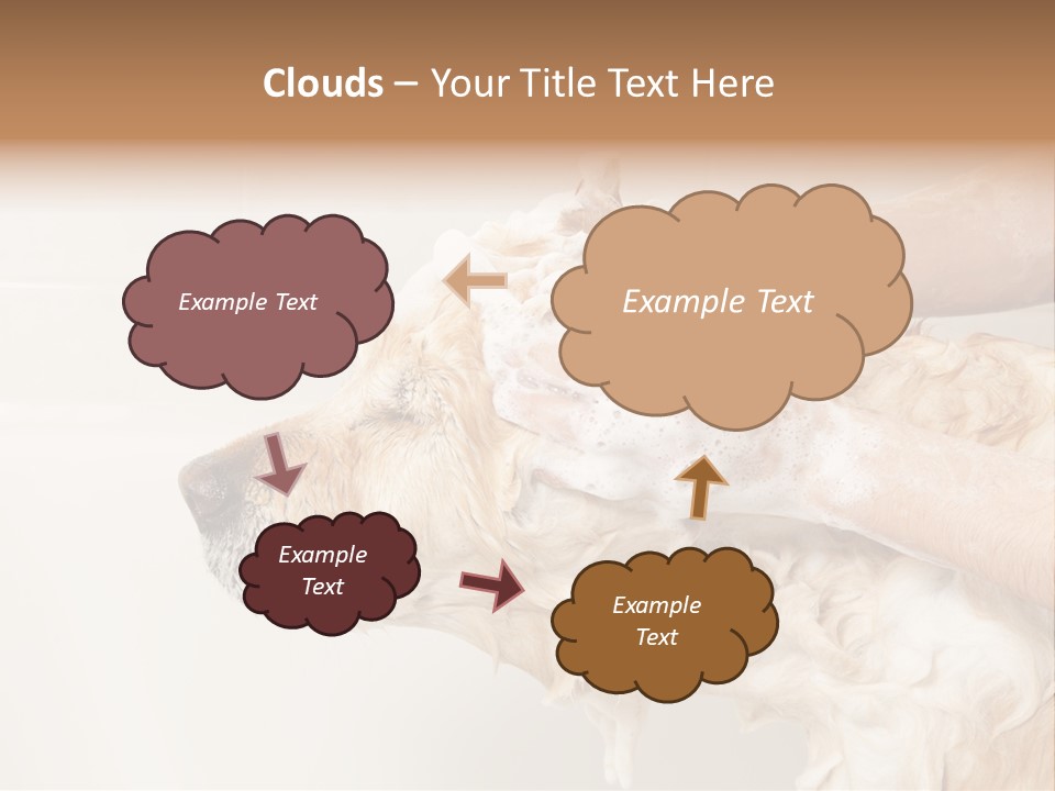 Grooming Shampoo Golden Retriever PowerPoint Template