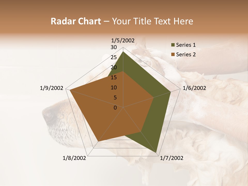 Grooming Shampoo Golden Retriever PowerPoint Template