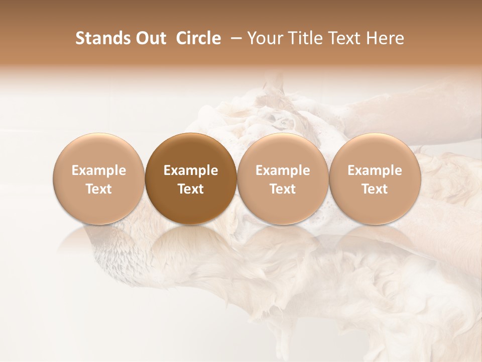 Grooming Shampoo Golden Retriever PowerPoint Template