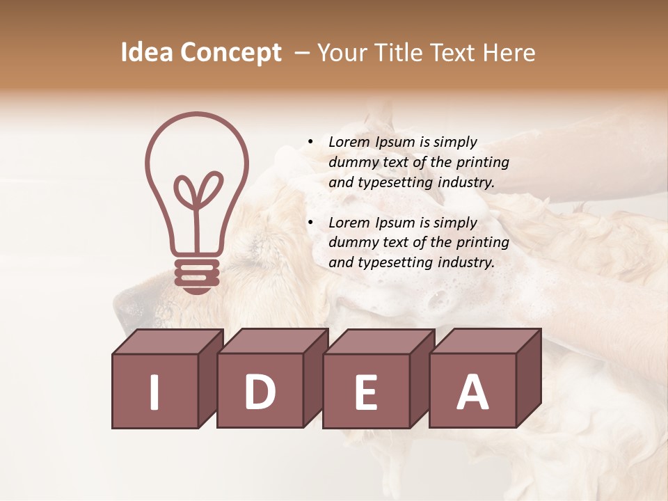 Grooming Shampoo Golden Retriever PowerPoint Template