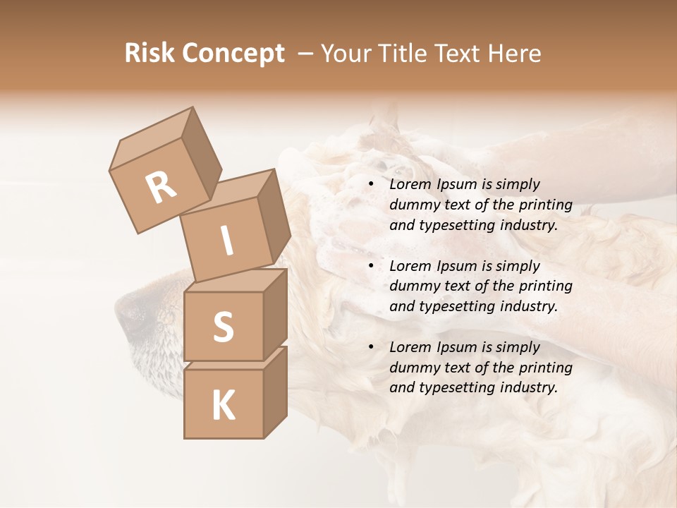 Grooming Shampoo Golden Retriever PowerPoint Template