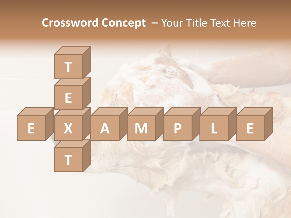 Grooming Shampoo Golden Retriever PowerPoint Template