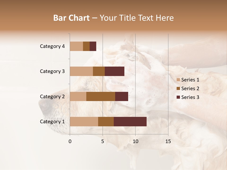 Grooming Shampoo Golden Retriever PowerPoint Template