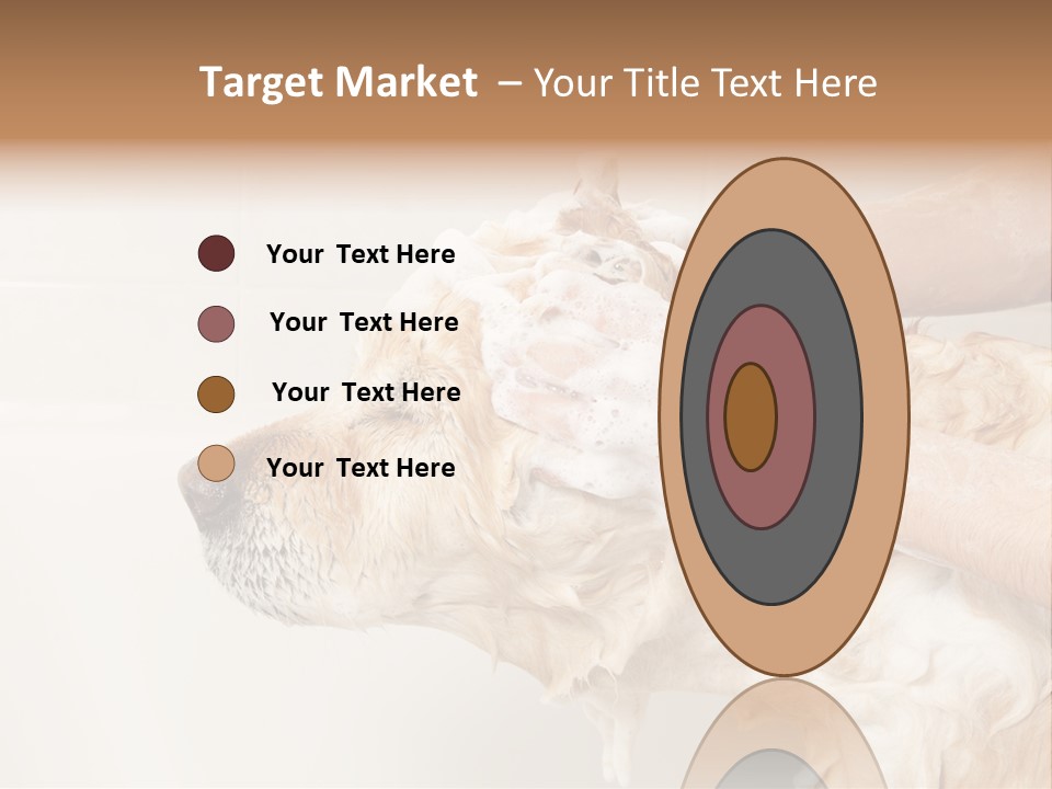 Grooming Shampoo Golden Retriever PowerPoint Template
