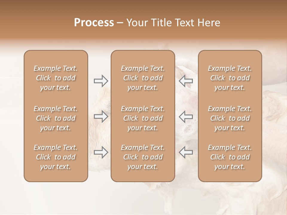 Grooming Shampoo Golden Retriever PowerPoint Template