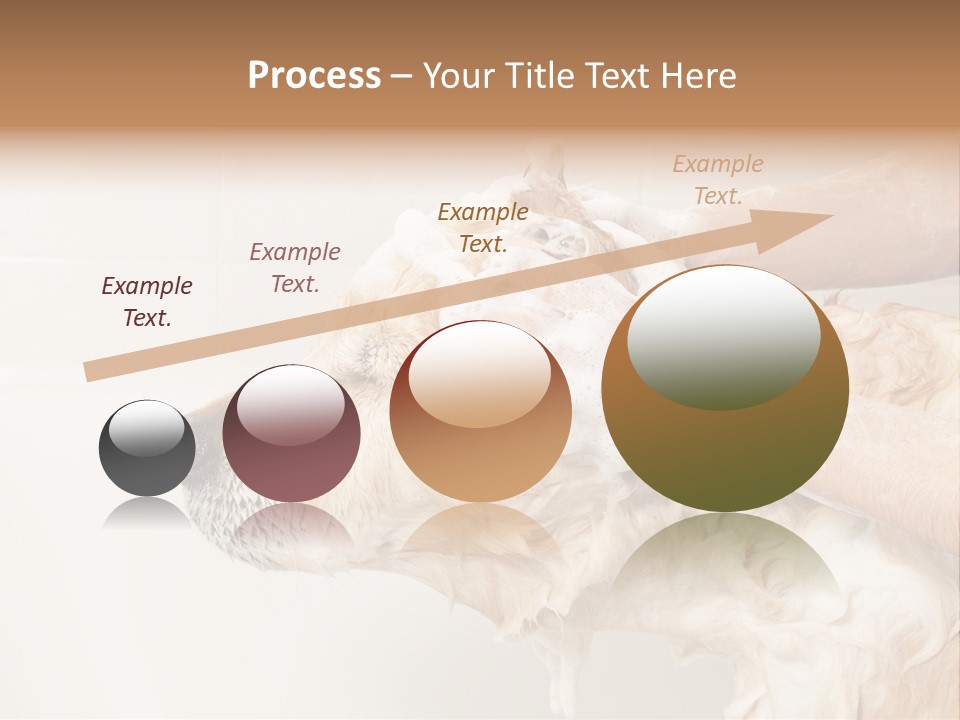 Grooming Shampoo Golden Retriever PowerPoint Template