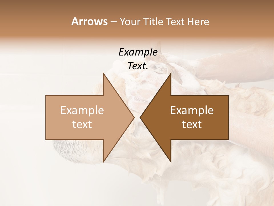 Grooming Shampoo Golden Retriever PowerPoint Template