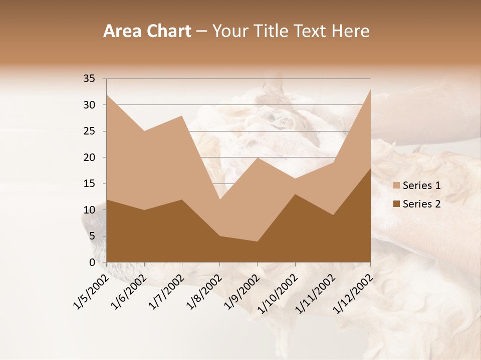Grooming Shampoo Golden Retriever PowerPoint Template