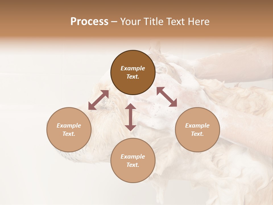 Grooming Shampoo Golden Retriever PowerPoint Template