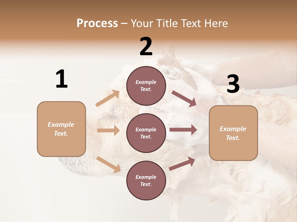 Grooming Shampoo Golden Retriever PowerPoint Template