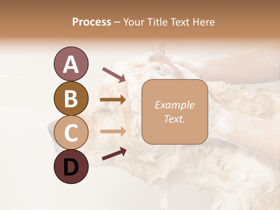 Grooming Shampoo Golden Retriever PowerPoint Template