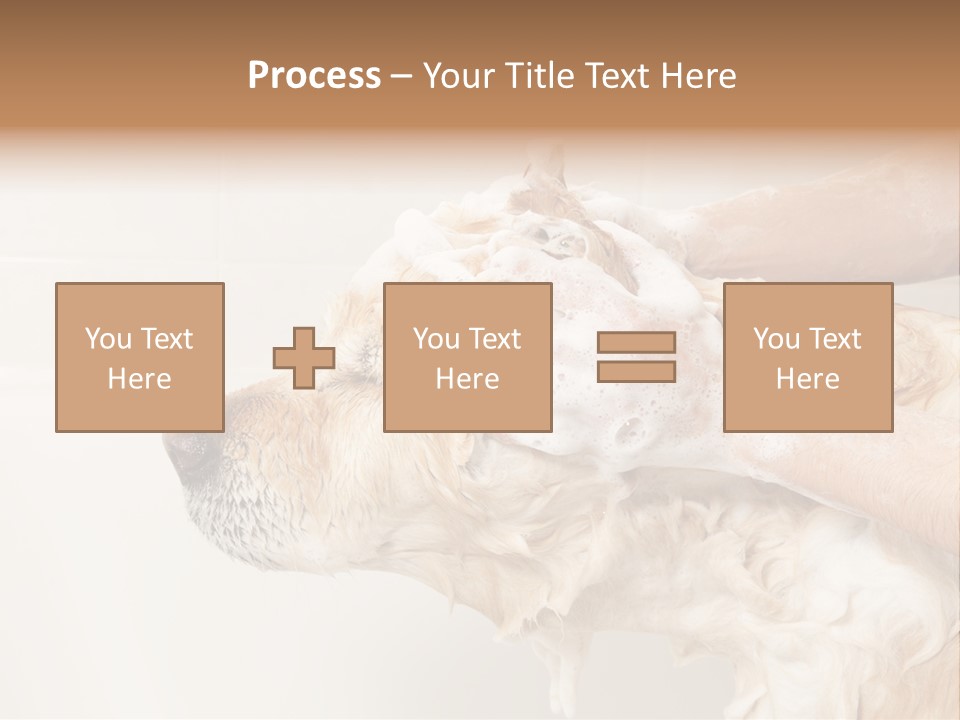 Grooming Shampoo Golden Retriever PowerPoint Template