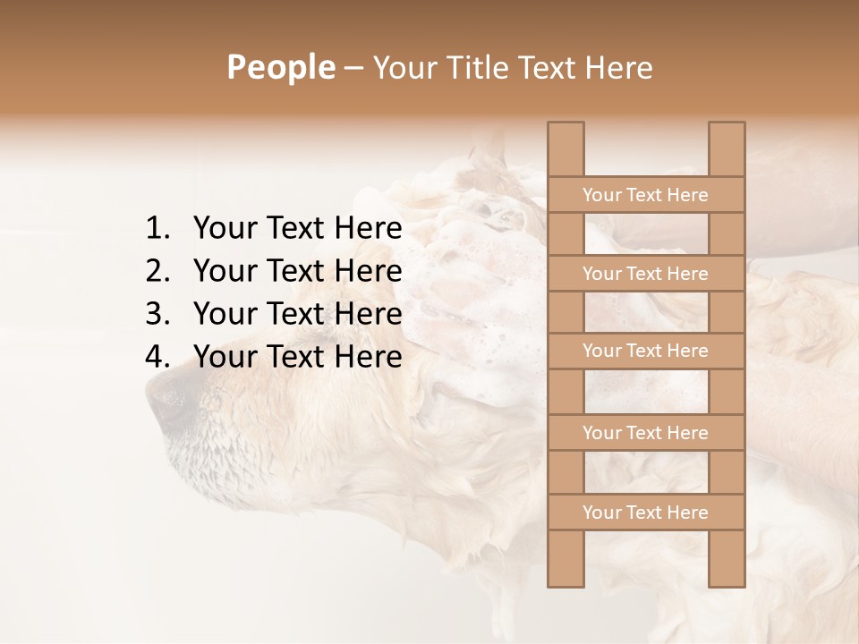Grooming Shampoo Golden Retriever PowerPoint Template