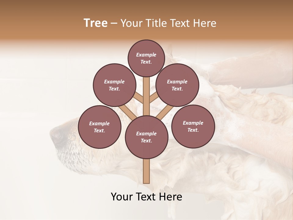 Grooming Shampoo Golden Retriever PowerPoint Template