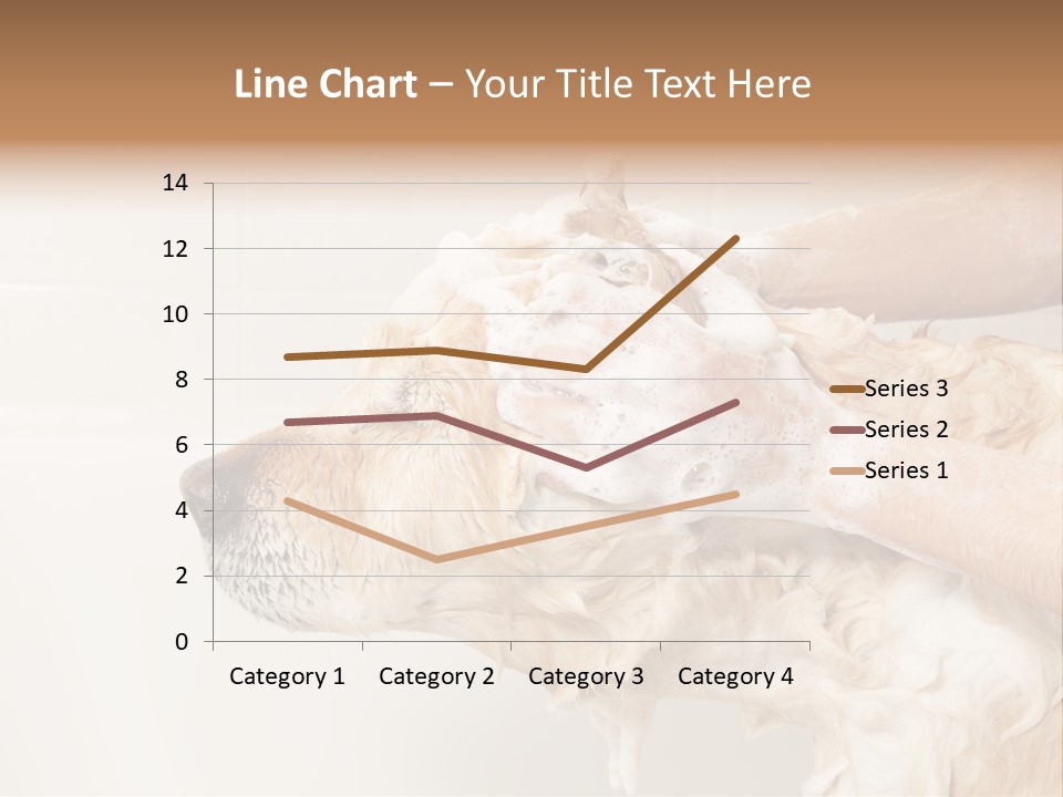 Grooming Shampoo Golden Retriever PowerPoint Template