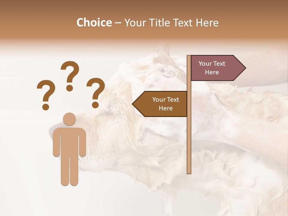 Grooming Shampoo Golden Retriever PowerPoint Template
