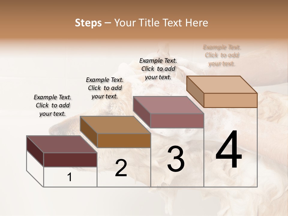 Grooming Shampoo Golden Retriever PowerPoint Template