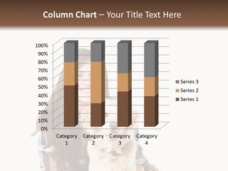 Cute Caucasian Young Animal PowerPoint Template