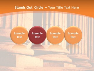 Extra Branch Nobody PowerPoint Template