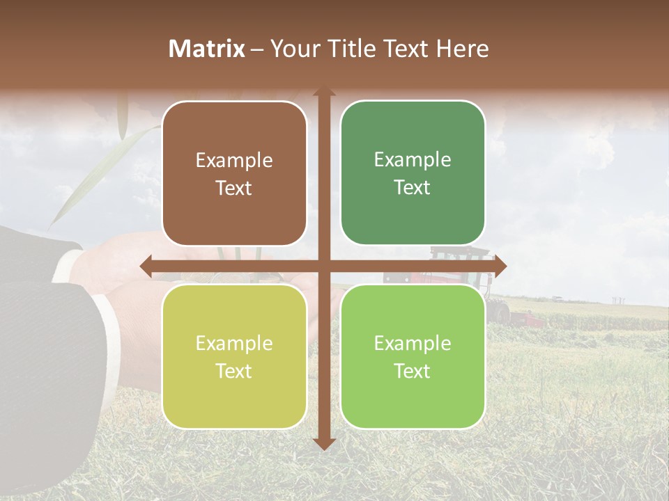 Wooden Healthy Food PowerPoint Template