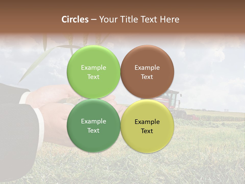 Wooden Healthy Food PowerPoint Template