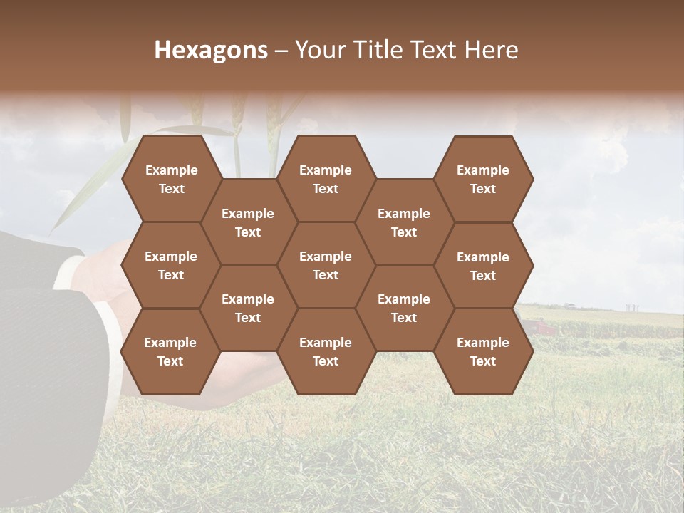 Wooden Healthy Food PowerPoint Template