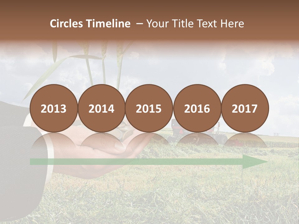 Wooden Healthy Food PowerPoint Template